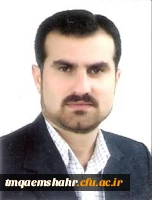 استاد سید علی عبداللهی