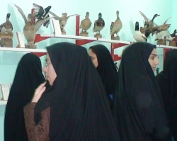 بازید از موزه بابلسر