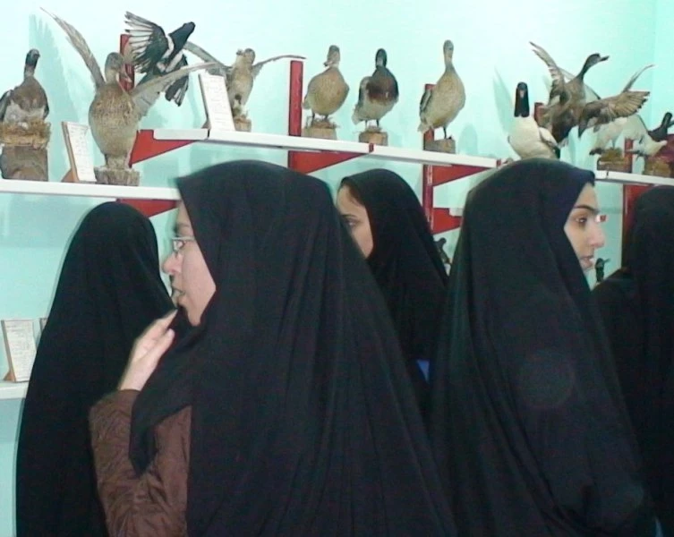 بازید از موزه بابلسر