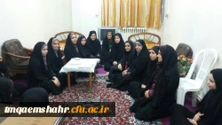 نشست ماهانه سرپرست مرکز با اعضای شورای صنفی