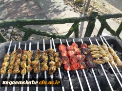 برگزاری اردو به مناسبت  بزرگداشت روز ملی مازندران همراه با خانم دکتر نظر چوب سرپرست مرکز 3