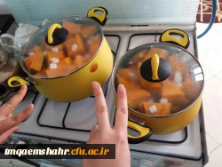 برگزاری اردو به مناسبت  بزرگداشت روز ملی مازندران همراه با خانم دکتر نظر چوب سرپرست مرکز 6