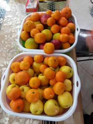 برگزاری اردو به مناسبت  بزرگداشت روز ملی مازندران همراه با خانم دکتر نظر چوب سرپرست مرکز 7