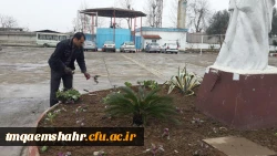 گل کاری محوطه ی مرکز