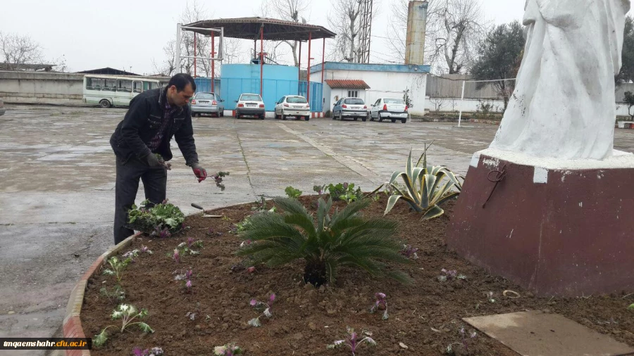 گل کاری محوطه ی مرکز