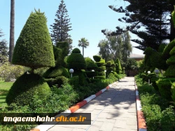 دومین آیین دانش آموختگی دانشگاه فرهنگیان مازندران 5