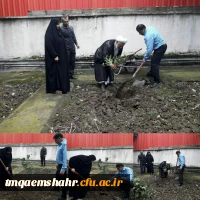 کاشت نهال به مناسبت روز درختکاری در مرکز حضرت فاطمه (س)قائمشهر