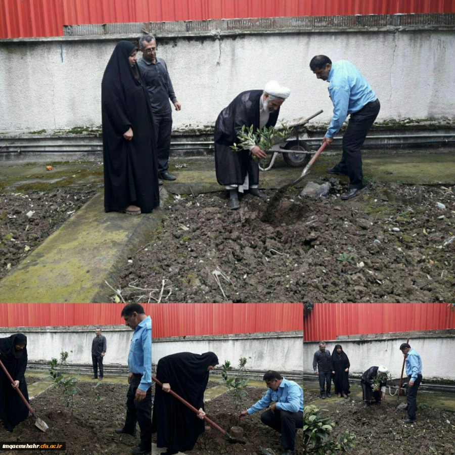 کاشت نهال به مناسبت روز درختکاری در مرکز حضرت فاطمه (س)قائمشهر
