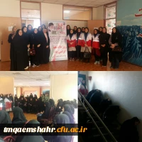 مانور ایمنی در حوادث 2