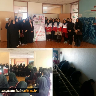 مانور ایمنی در حوادث