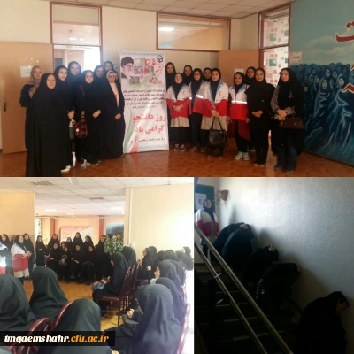 مانور ایمنی در حوادث