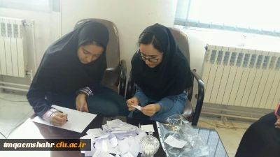 انتخابات کانون انجمن زبان