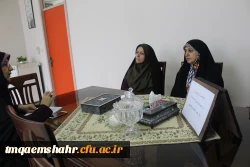 شورای سرپرستان