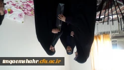 تقدیر از مبلغ