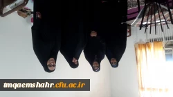 تقدیر از مبلغ