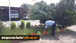 آماده سازی فضای آموزشی و رفاهی برای شروع سال تحصیلی جدید  6