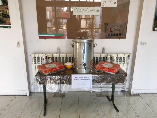 کارگاه زبان انگلیسی