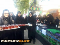 موکب جاماندگان اربعین