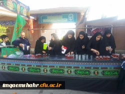 موکب جاماندگان اربعین