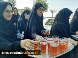 موکب جاماندگان اربعین