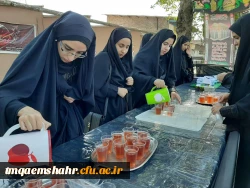 موکب جاماندگان اربعین