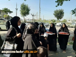 موکب جاماندگان اربعین