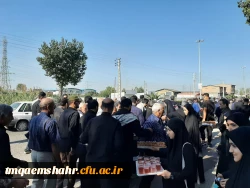 موکب جاماندگان اربعین