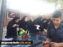 موکب جاماندگان اربعین