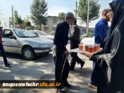 موکب جاماندگان اربعین