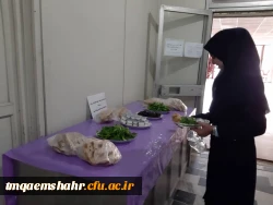 به مناسبت هفته سلامت روان صبحانه سالم  4