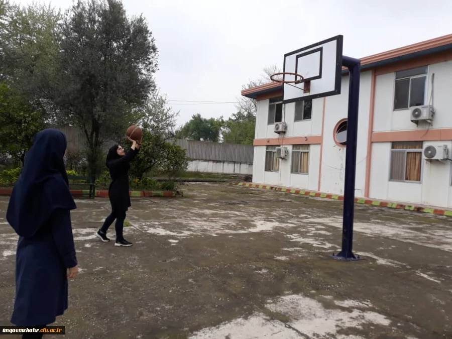 ورزش در هفته تربیت بدنی  5