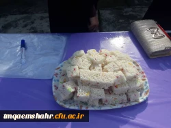  14 آبان روزی برای شناساندن زبان، لباس , آداب , رسوم و رونق صنعت گردشکری فرهنگی استان مازندران است. 11