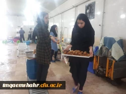  14 آبان روزی برای شناساندن زبان، لباس , آداب , رسوم و رونق صنعت گردشکری فرهنگی استان مازندران است. 15