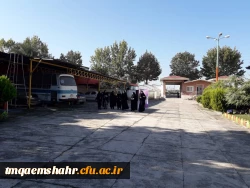 شعار هفته ملی سلامت بانوان ایرانی در سال98 ، 