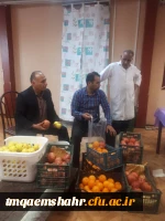 جشن شب یلدا در مرکز اموزش عالی حضرت فاطمه (س) قائم شهر برگزار شد.  2