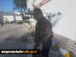 آماده سازی فضای سبز مرکز در آستانه فرا رسیدن بهار 4