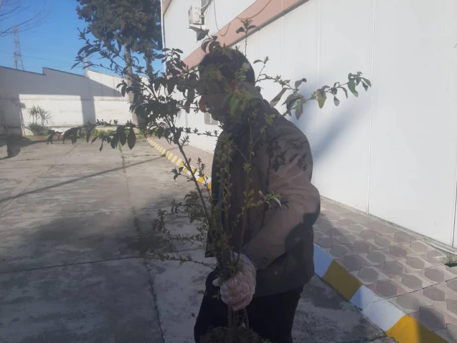 آماده سازی فضای سبز مرکز در آستانه فرا رسیدن بهار 4