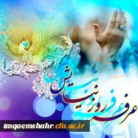 روز عرفه ، روز دعا و نیایش بر عارفان حق گرامی باد 2